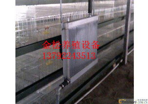 養雞水暖鍋爐 養殖專用水暖鍋爐高清圖片 高清大圖