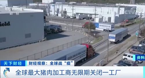 至少238名員工確診新冠肺炎,全球最大豬肉加工商關閉了一家工廠
